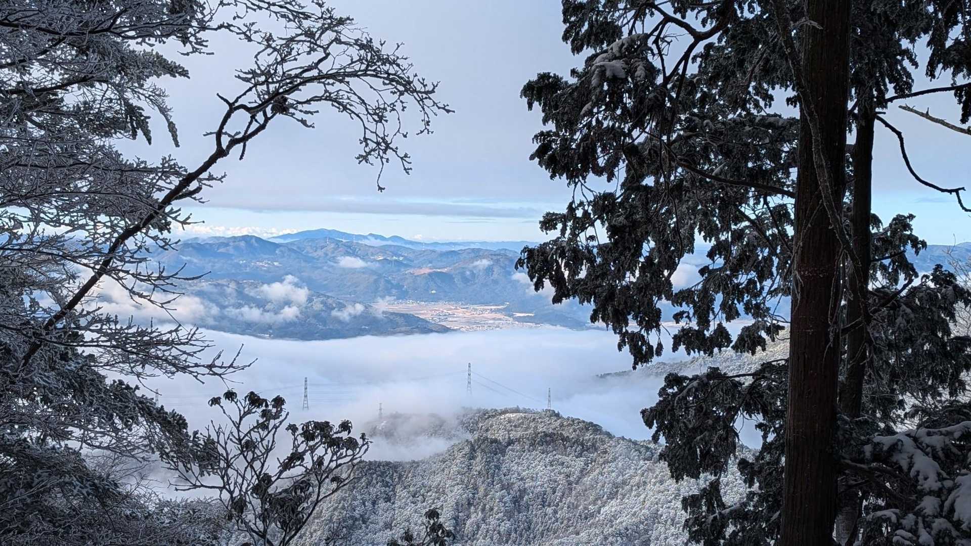 雲海☁