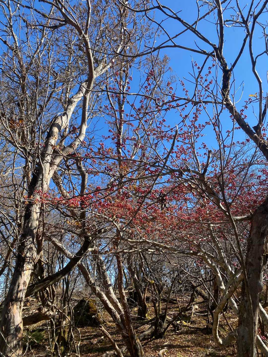 いい天気☀️