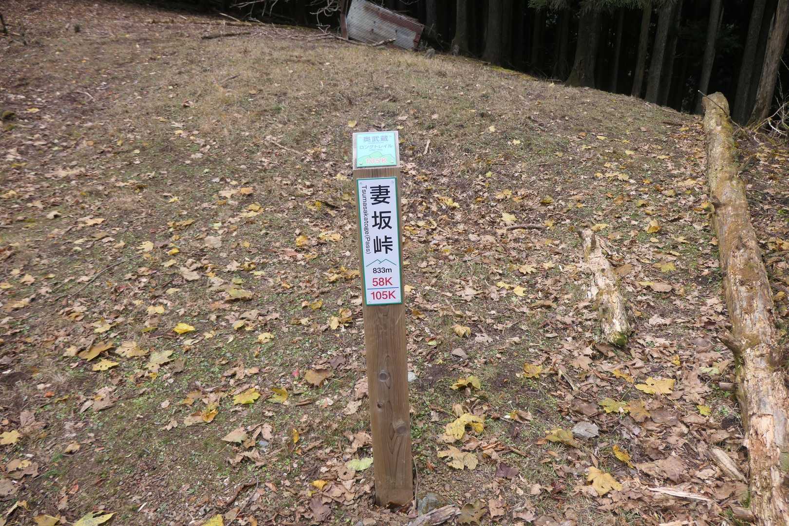 妻坂峠到着。