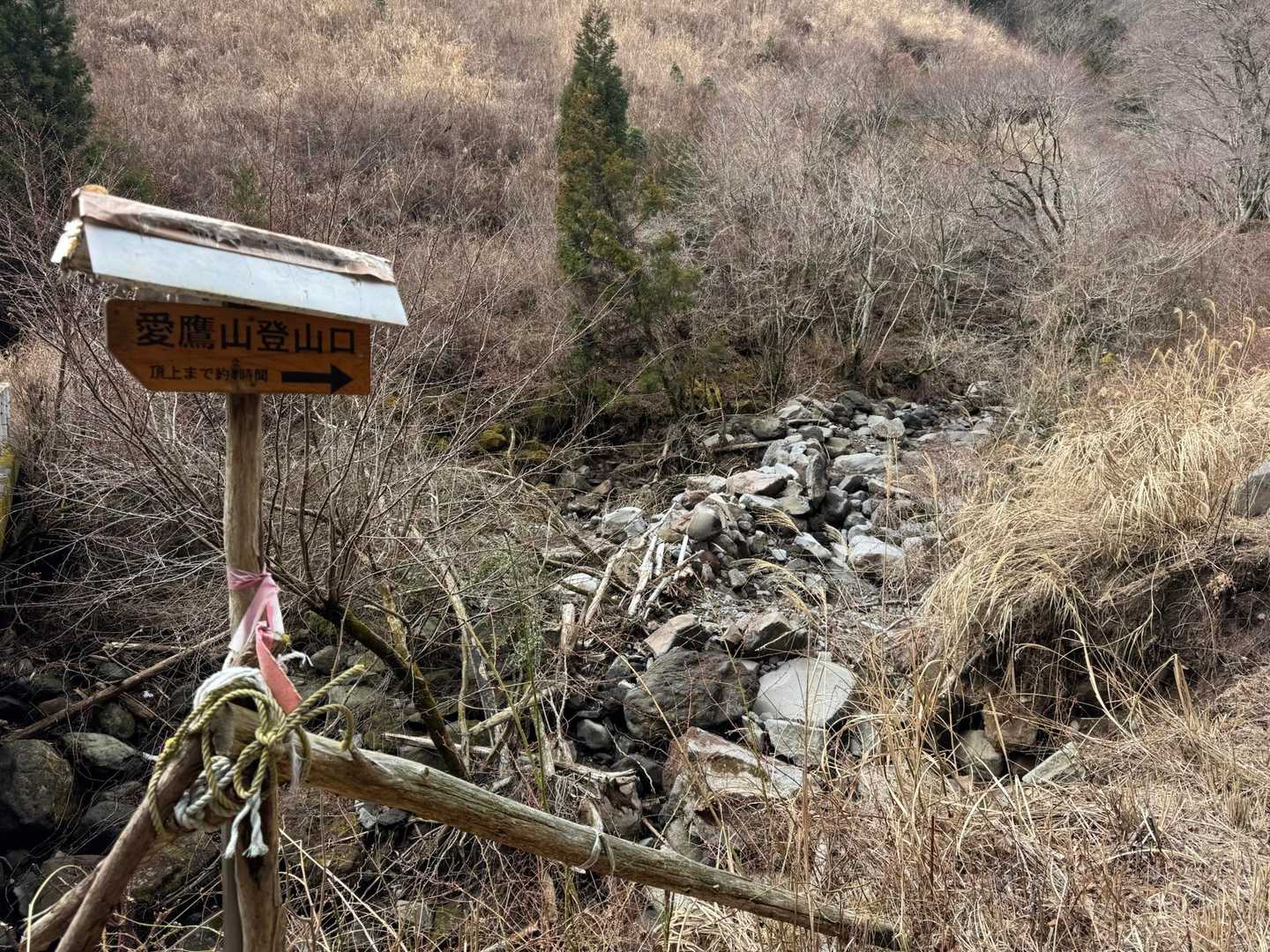 登山口🪧