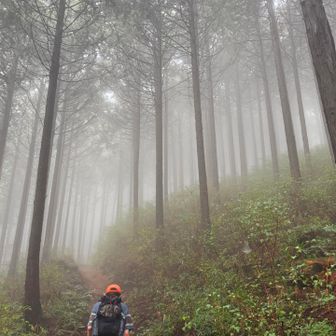 今回は小仏城山を巻いたみた