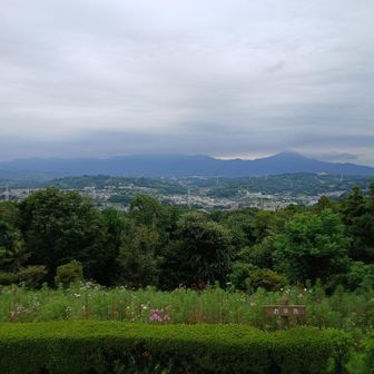 大山はギリギリ　その他丹沢山塊は全部雲の中