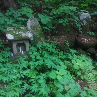 子安の清水
　弁慶が北の方が水を欲しがったためほら貝を突き刺し祈ったら霊水が出たところ。
　身重だった北の方が、よくこんな急な山道を岩手県平泉まで逃避行したものだと改めて感心しました。