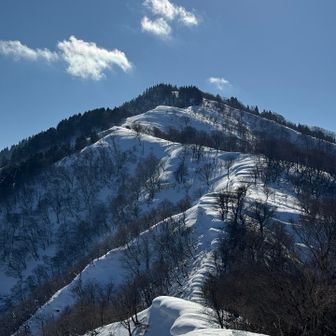 ガスが取れてスッキリバージョン