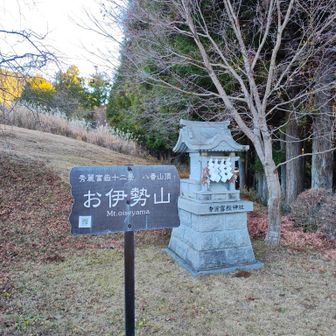 山頂···とは言い難い
山ではなく丘
ここは秀麗富嶽神社