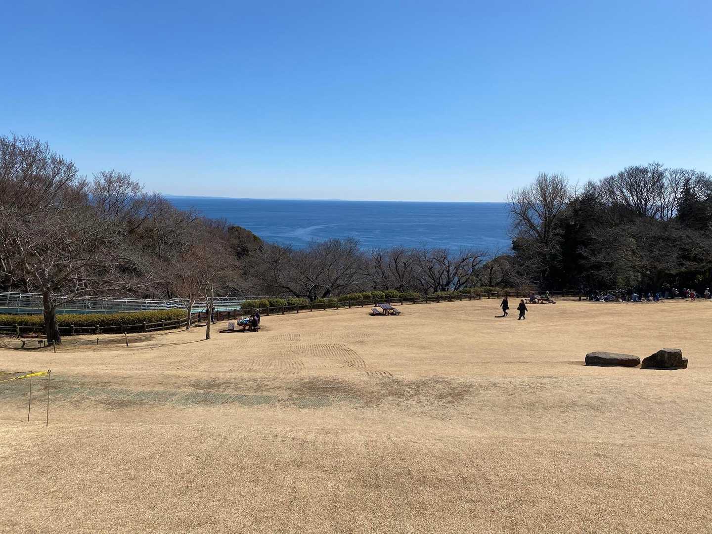 　広々。相模湾です。
海もきれいです。
　子どもたちは、無料の滑り台を山頂から途中まで、何度もチャレンジしていました。私も下山にやりたかったけど、充分大人だから我慢しました。