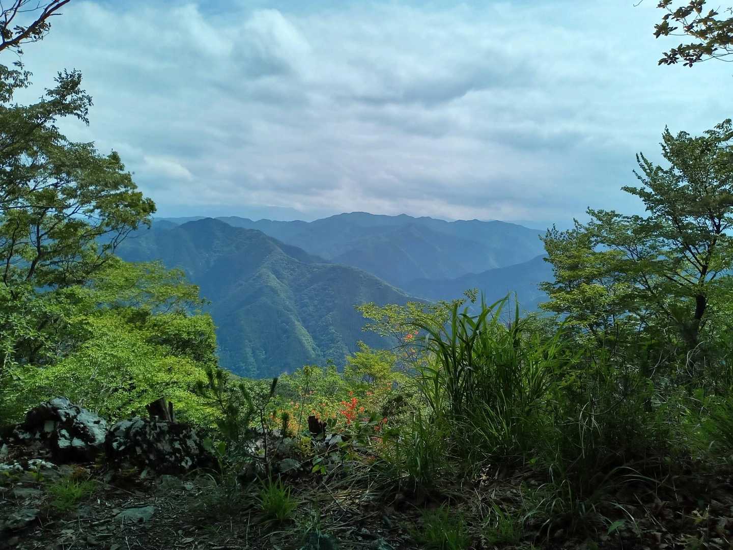 雲がなかったら富士山見えたのかな
