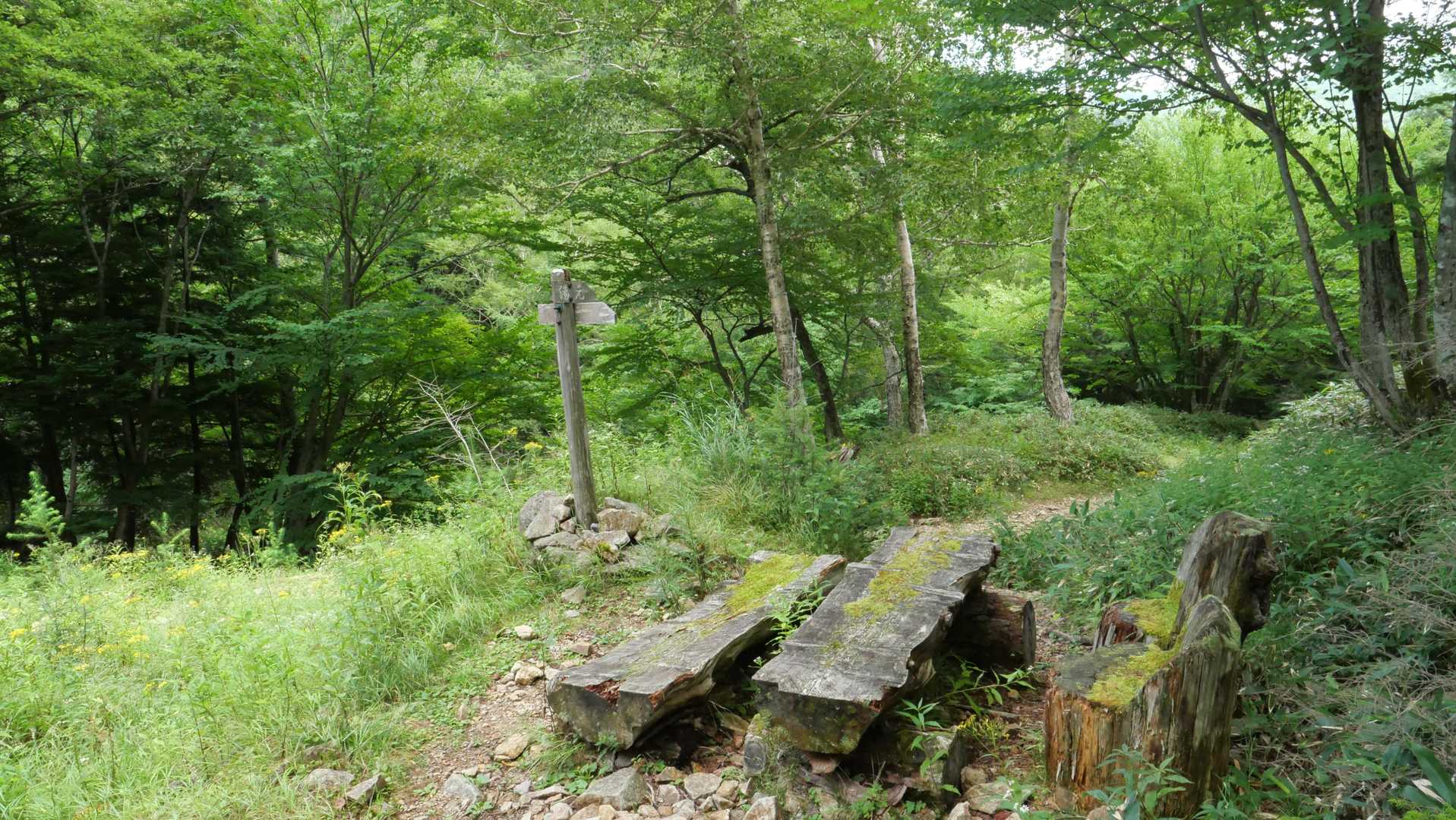 登山道の入口まで戻ってきた
下りでも右足🦶痛かった