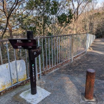 ここから、太陽と緑の道の続き〜森コースへ🏃