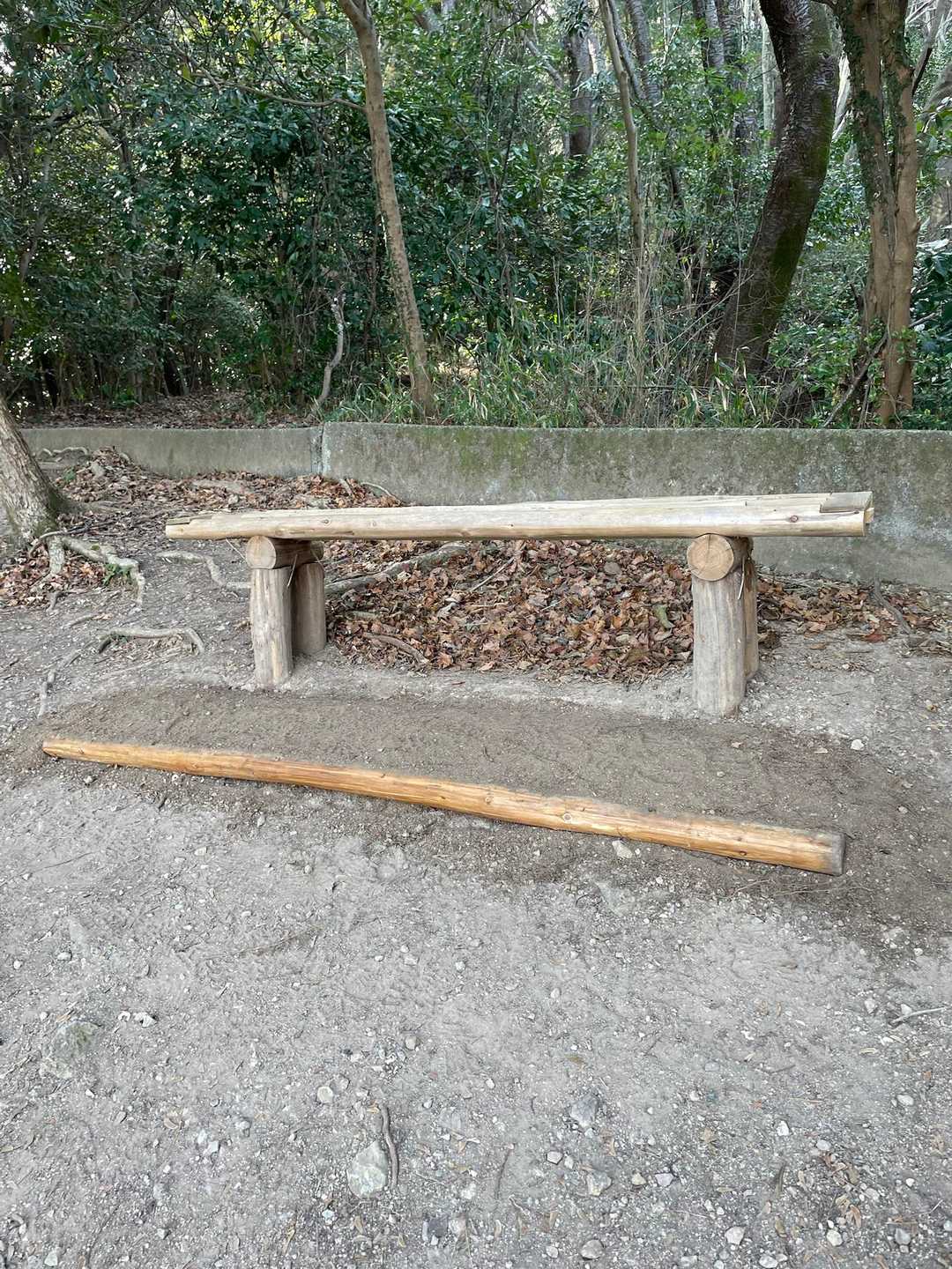 ベンチ下の足元のところ整備して下さっている🙇‍♀️