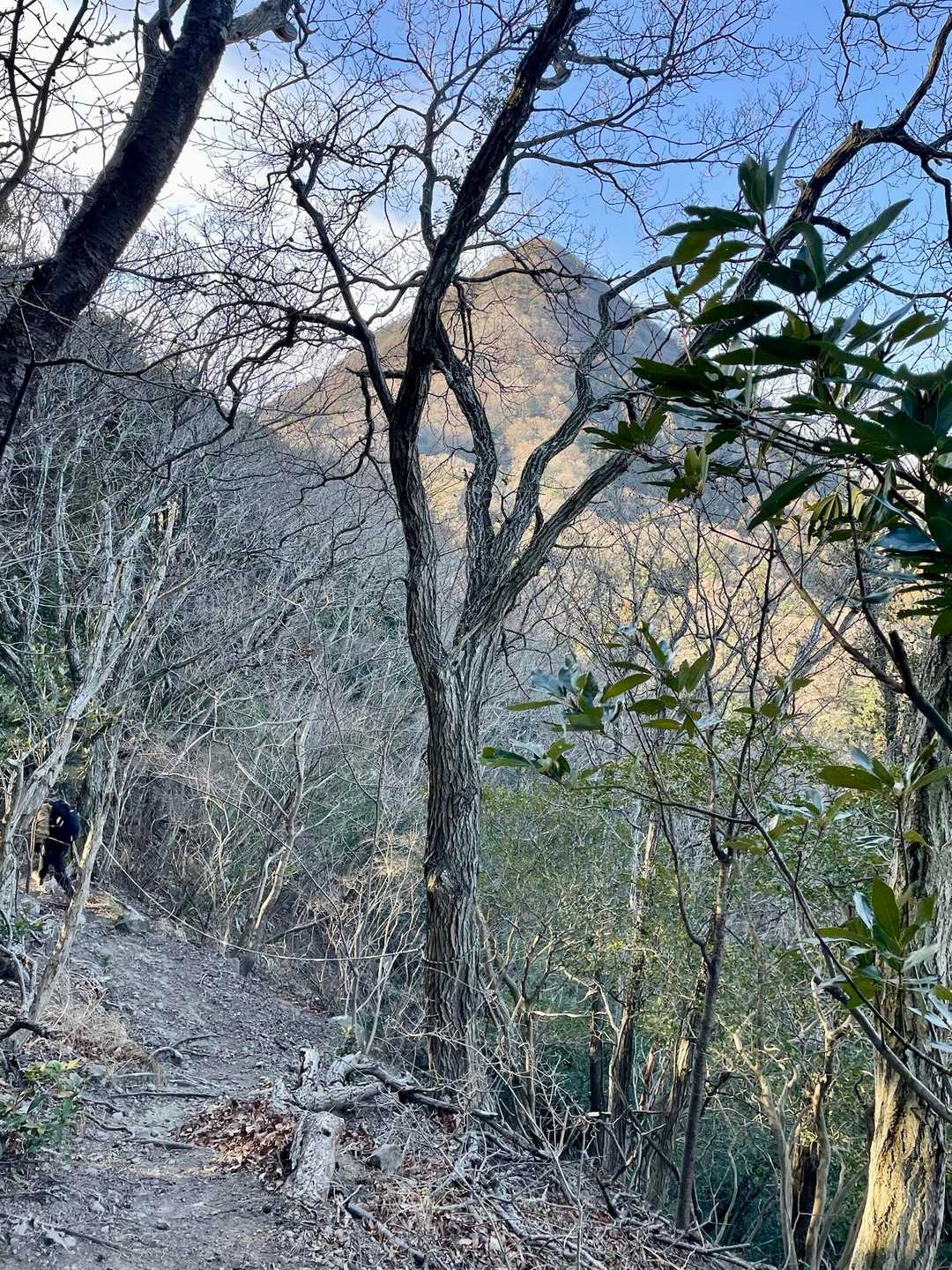 あれが千燈岳かー