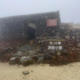 風🌪️が爆風