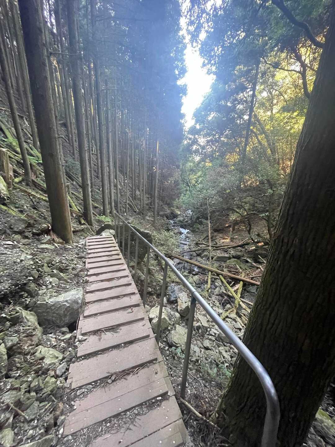 立派な橋😋よく作るよねー😅