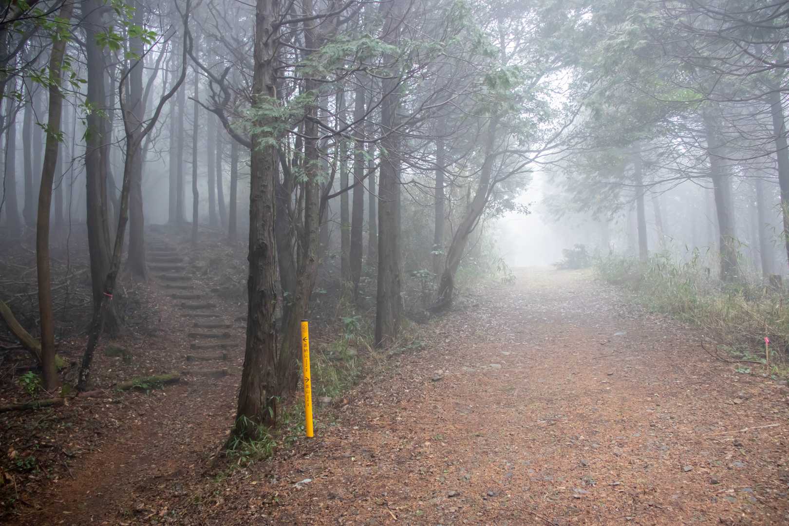 このまま下山しても時間を持て余すので次の山頂まで行きます。