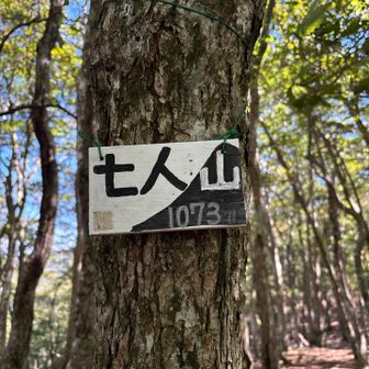 最後のピーク、七人山