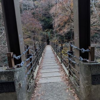 まあまあ揺れます🫨