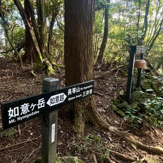 三叉路です。真っ直ぐで長等山テラス方面に向かいます。