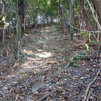 地蔵山付近の登り坂（下から撮影）…紀泉アルプスにおける急登・急降っぽい箇所はこれ以外だと、後は西の「飯盛山〜大曲山」に掛けてと、「提灯講山〜登山口入り口」くらいが代表的になりますかね〜🤔💦