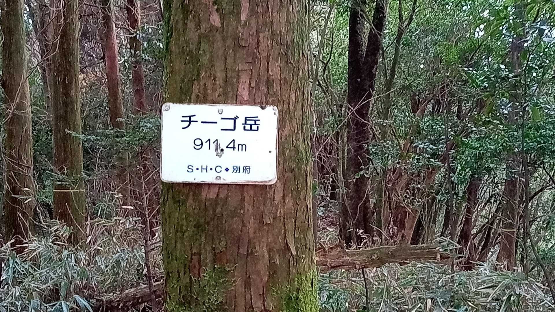 チーゴ岳の写真