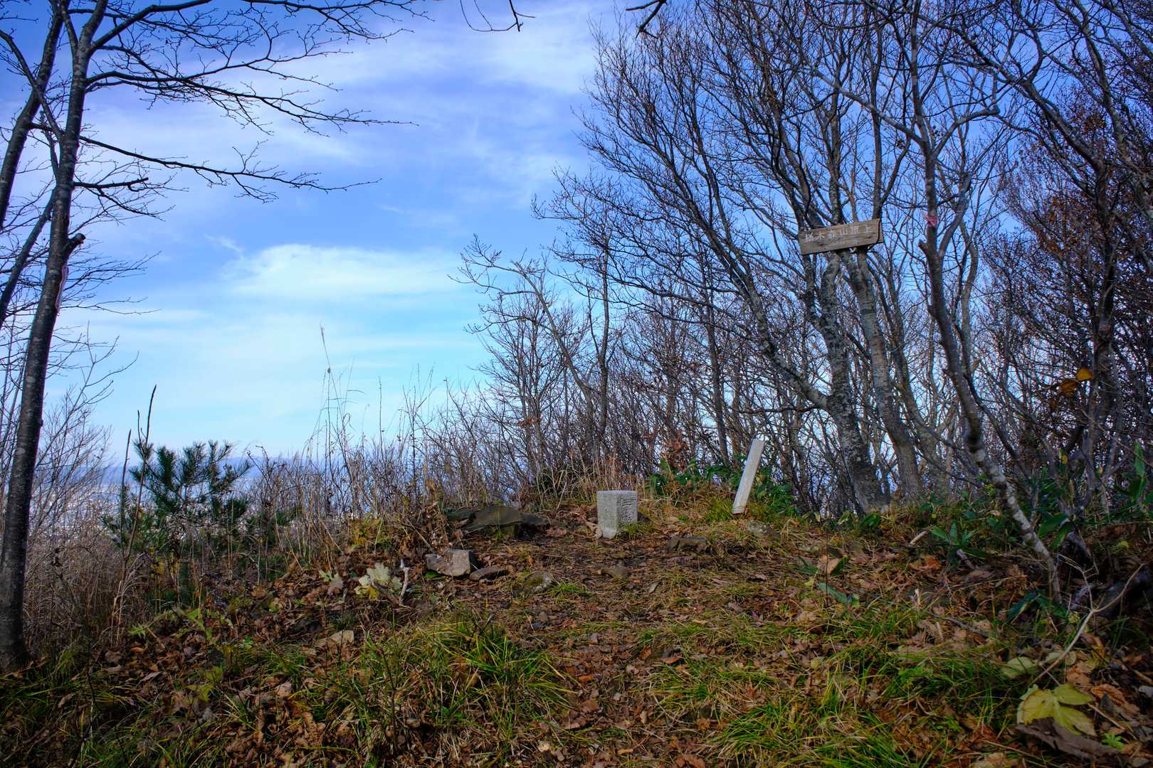 しかるのちに本日の二座目にして最高地点、『楢木森山(487m)』に登頂だ。