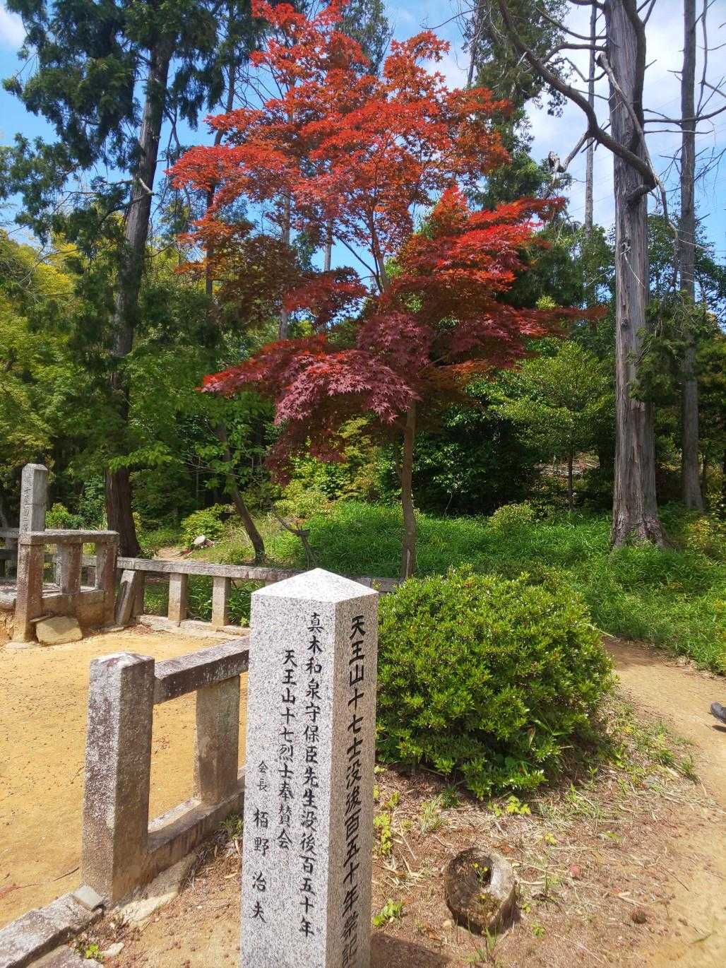 この時期に紅葉です✨