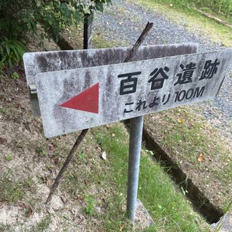 行かずに降りようかと思ったが、せっかくなので行ってみる。