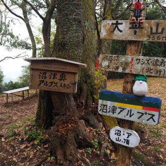 大平山
賑やかな道標に励まされる👍