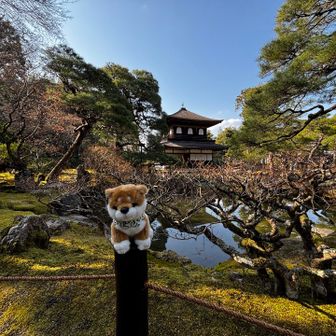 相棒と銀閣を撮りました🎶