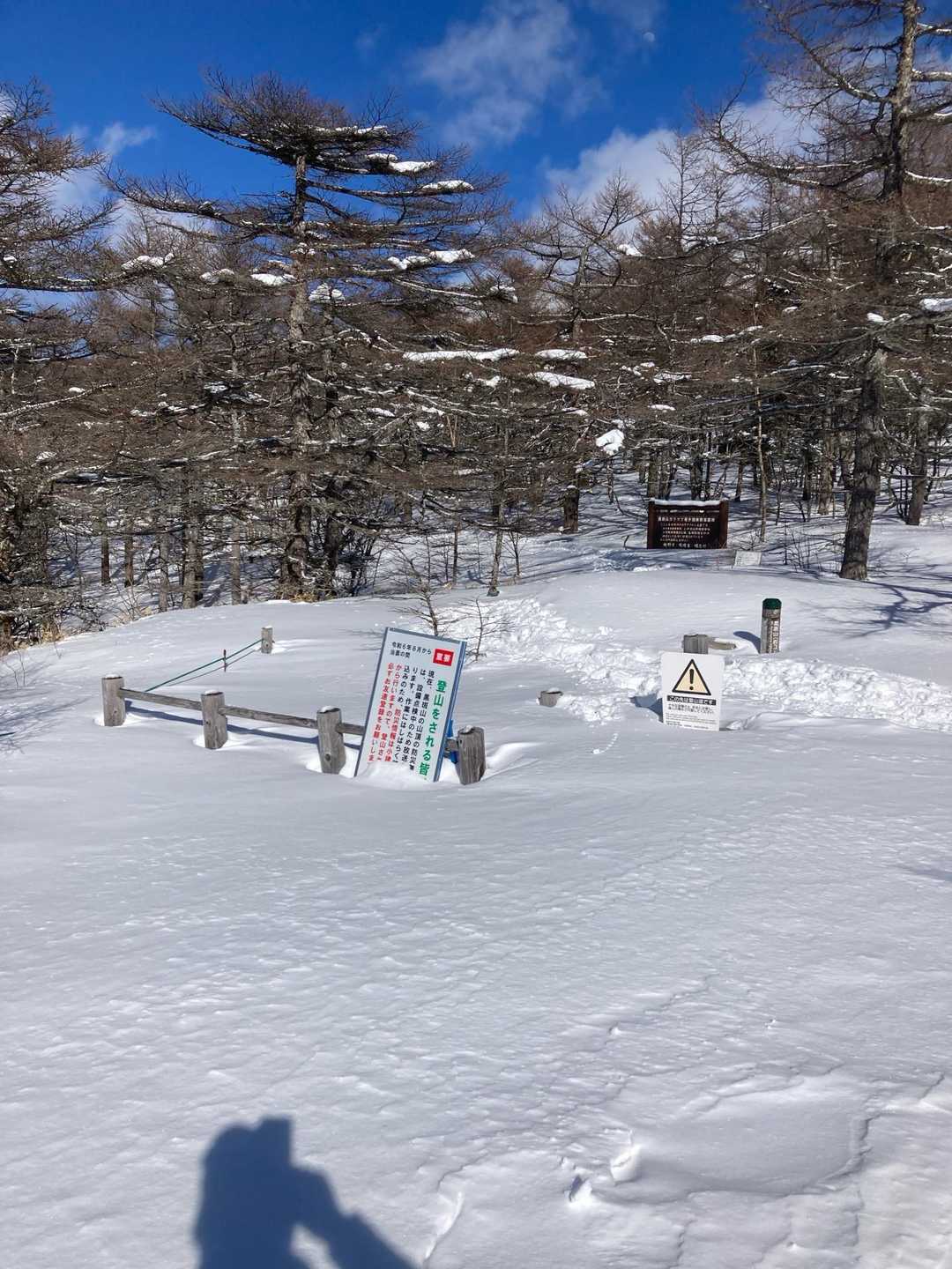 下山。下山途中、駆け足で降りて左足首捻挫した。