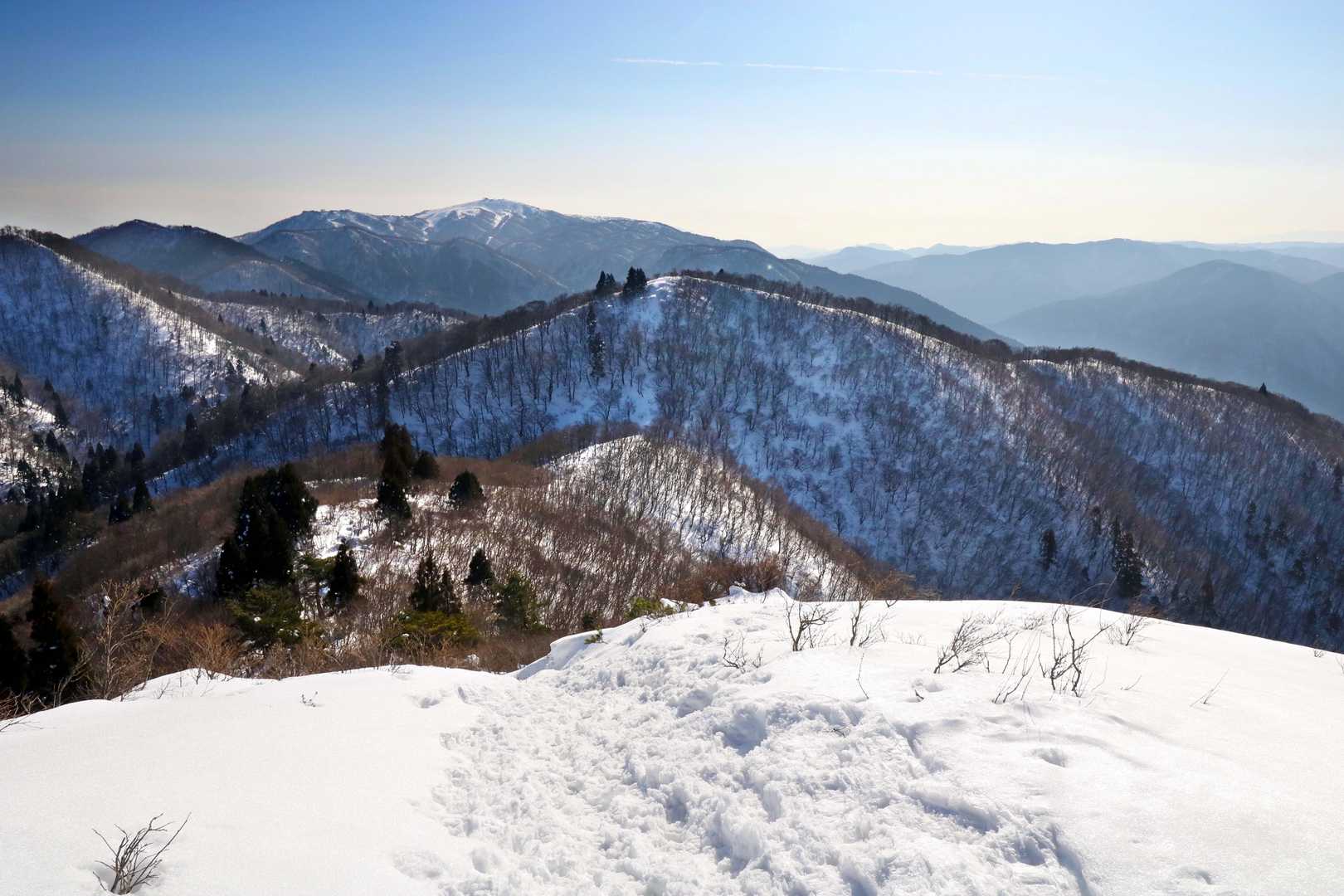 ここから登り返して御殿山へ。
この後私は御殿山のあっちとこっちを何度も往復します。。