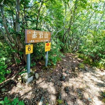 登り返して、赤岩山(535m)
Noは6まで下がっています