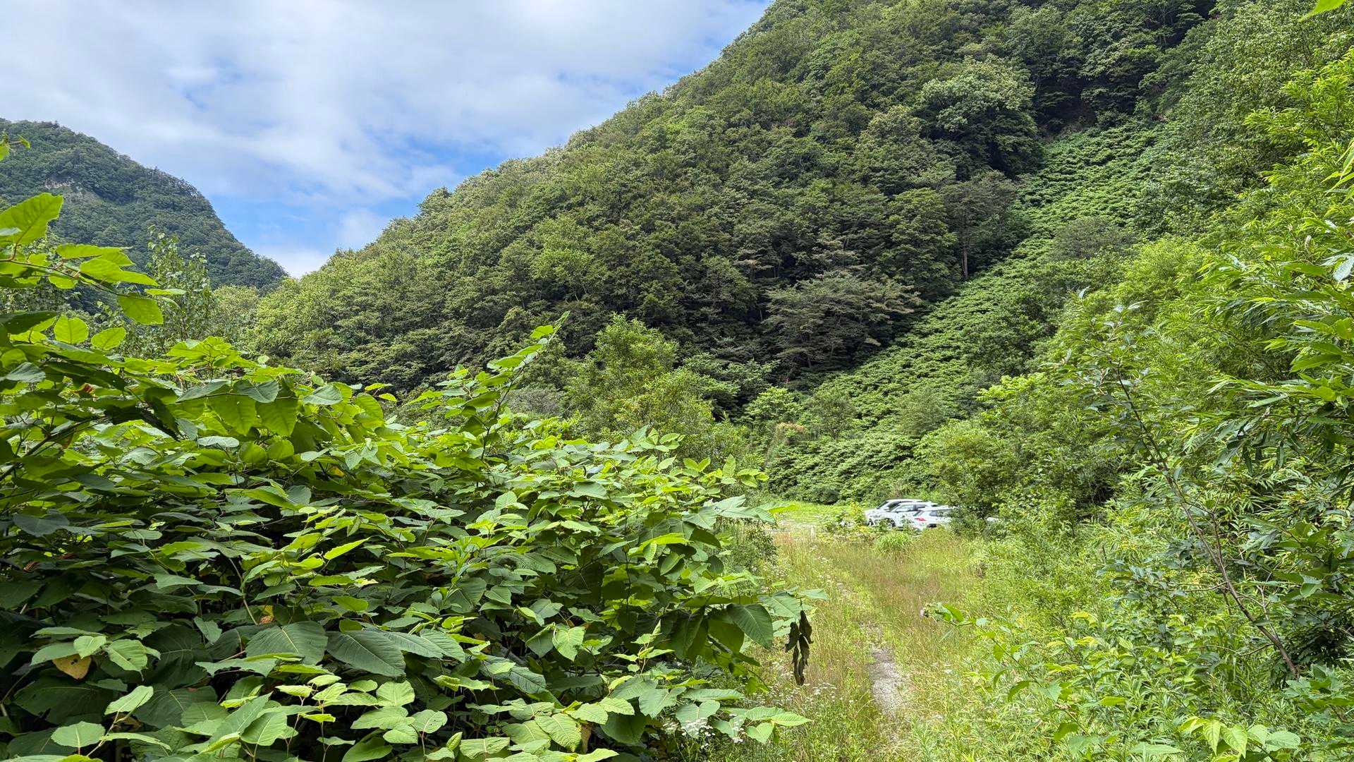 無事下山！
おつかれしたー