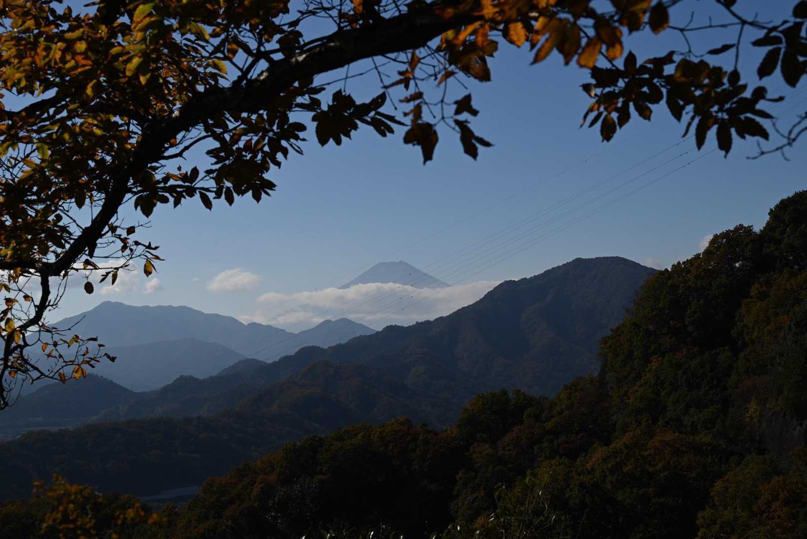 ここからも富士山