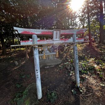 六嶽神社上宮⛩️隊長曰く
安産の神様でもある様です😍
正月に増えた3000グラム、安産、安排出できますように🙏🙏🙏
