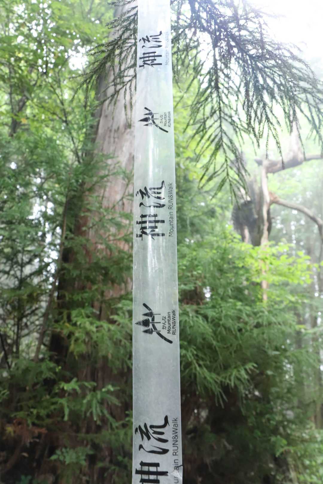 神流・・・『かんな』って読めないよね。