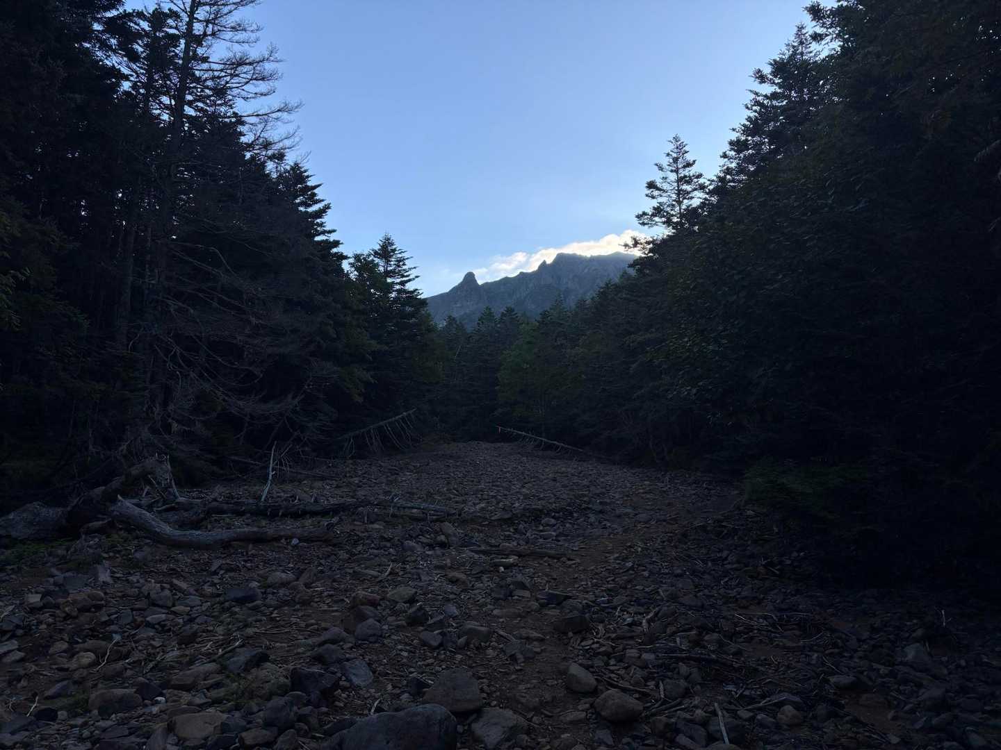 枯れた沢の中を歩く。
※正面にあるのは横岳及び大同心。