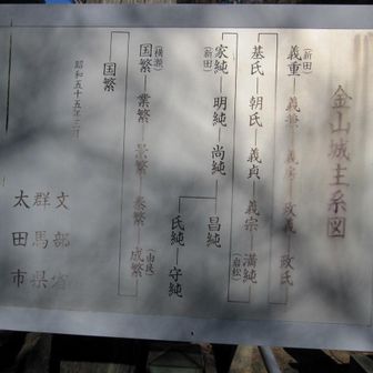 金山城主系図