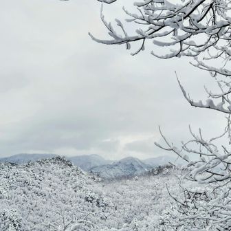 雪景色はいいね〜
ぐるっと周回、ワカンですいすい歩ける感じの積雪でした‎🤍