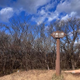 山頂は眺望無し