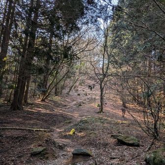 何度もニセピークに騙されてようやくここに来た。
鬼岩までの最後の登り
足にくるな