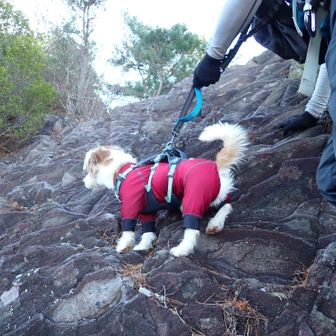 ほぼ登りきった最後の緩めなところ