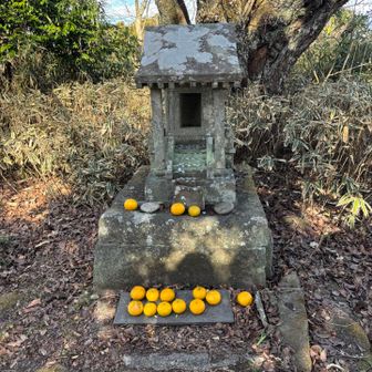 みかんのお供え