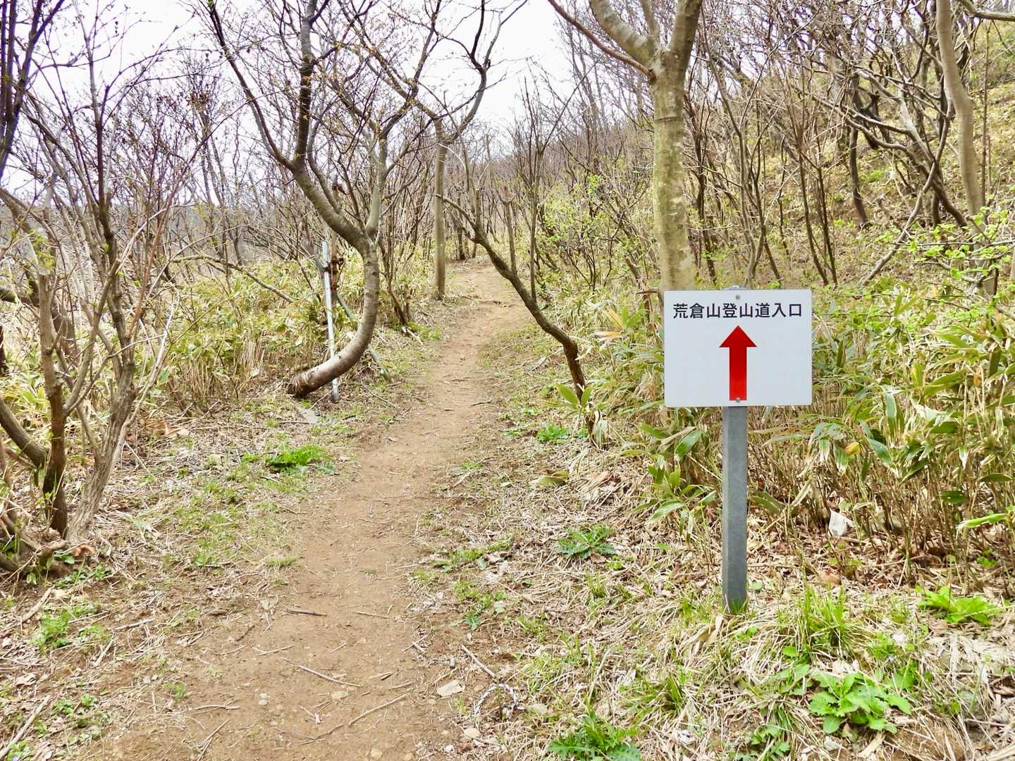  今日は曇り空☁️　油戸の登山口から入ります💪