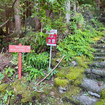 登山口に到着❗️
