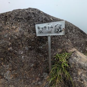 モッチョム岳（本富岳）
念願の山！
プリンちゃんの山友が屋久島の山で一番好きな山はモッチョム岳だと聞いてから
私は絶対にモッチョム岳に登るんだと決めていた