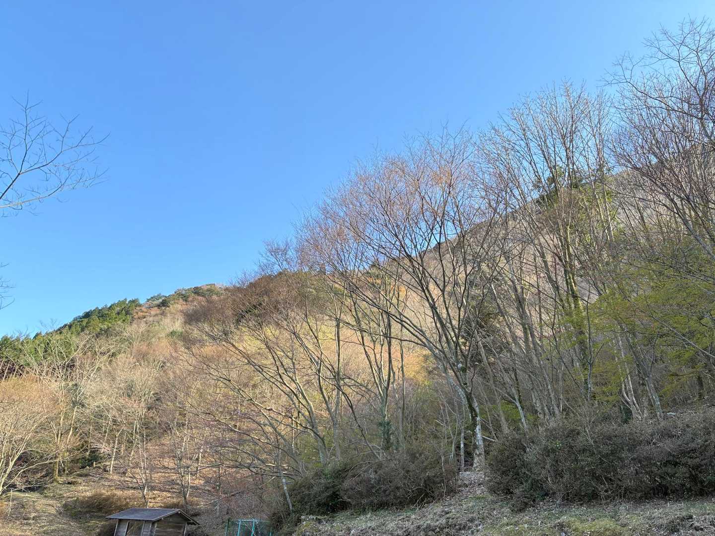 下山完了