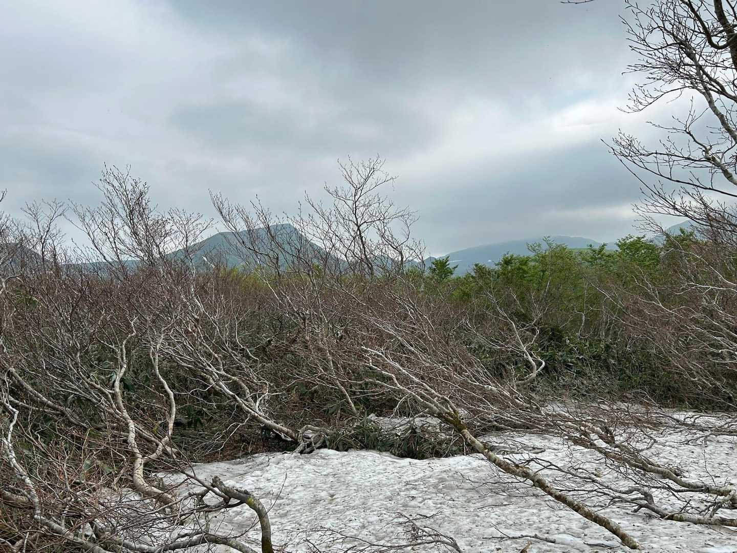 念のため軽アイゼンやチェンスパも持参しましたが、結果今日は、ツボで大丈夫でした