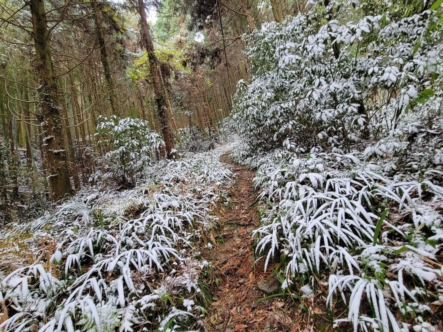 鞍手登山口-六ヶ岳 往復コースの写真