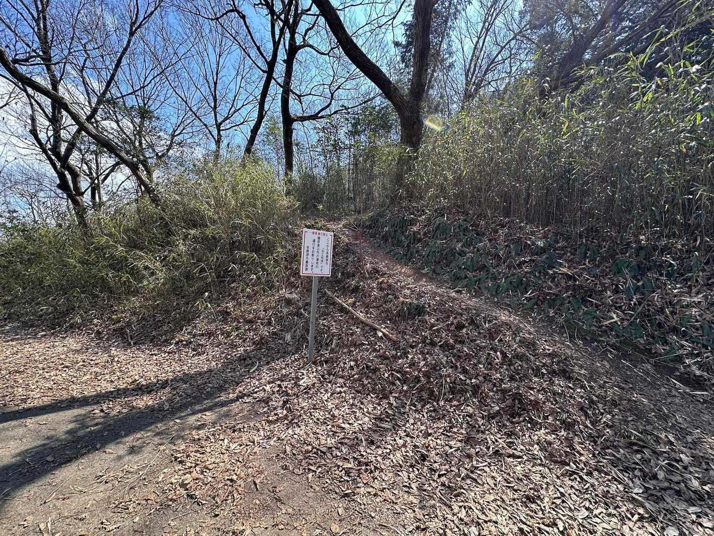 降りた分、また登り返します😅💦