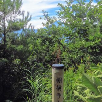 棚横手山に到着